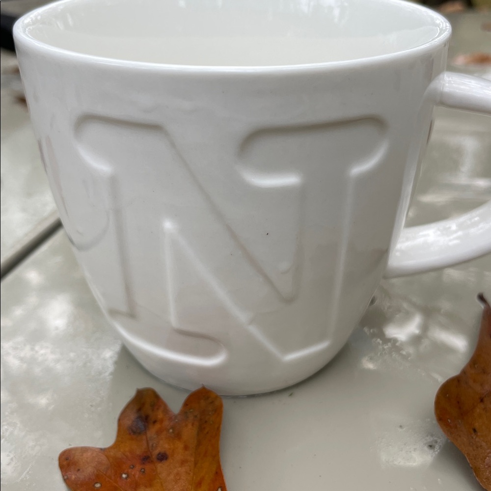 Keith Brymer Jones Alphabet Mug - Letter N